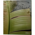 thumbnail image 3 of Great Art Now Butterfly Palm by Patricia Pinto 2 Piece Canvas Art Set Each 12W x 15H, 3 of 3