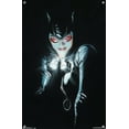 thumbnail image 4 of DC Comics - Catwoman - Portrait Wall Poster with Push Pins, 14.725" x 22.375", 4 of 6