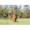 thumbnail image 4 of Chuckit! Erratic Ball Rubber Fetch Dog Toy for Unpredictable Bounce, Small 2" for Dogs Up To 20 lb, Pack of 2, Green, 4 of 5