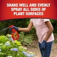 thumbnail image 5 of Garden Tech Daconil Fungicide 3-Way Control, Ready-to-Use Spray, 32 oz, 1 Spray Bottle, 5 of 12
