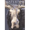 thumbnail image 3 of Waterton National Park, Canada, Moose Up Close (100% Cotton Tea Towel, Decorative Hand Towel, Kitchen and Home), 3 of 3