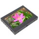 thumbnail image 4 of Monitor de pantalla táctil ANGGREK, pequeños monitores IPS con soporte ajustable para control industrial, 4 of 7
