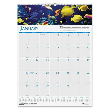 House of Doolittle Panoramic Sea Life Wall Calendar