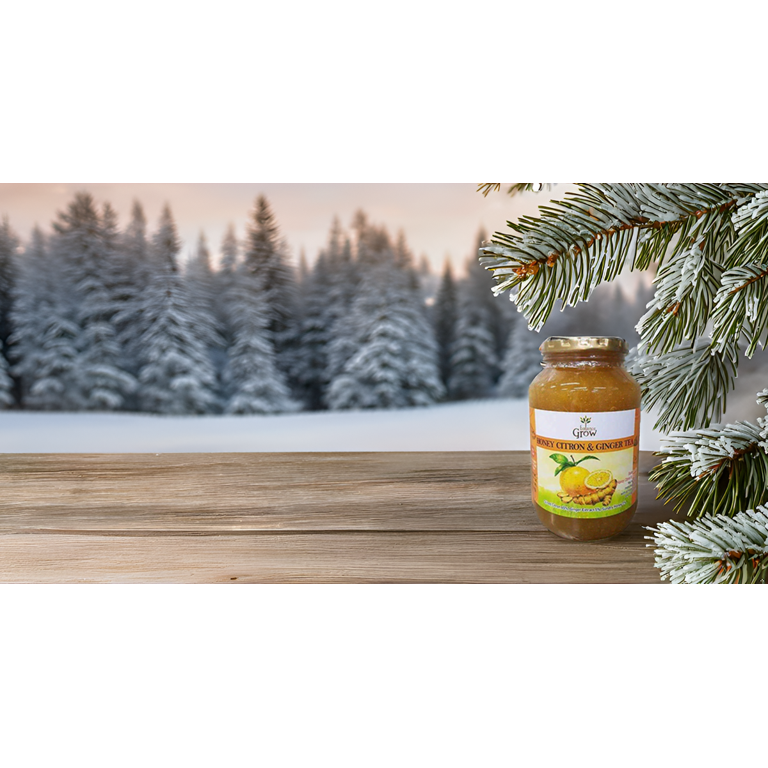 Balance Grow Honey Citron & Ginger Extract Tea, Excellent Source