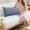 Blue, variant on Mecorevxz Soft Velvet Long Pillows Special Pillow for Sleep Sofa Pillow Side Sleeping Leg Clamp Dormitory Bedside Cushion,Green