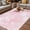 Pink, variant on Pink Marble Outdoor Rug for Patio/Deck/Porch, Non-Slip Large Area Rug 3 x 5 Ft, Modern Abstract Art Elegant Indoor Outdoor Rugs Washable Area Rugs, Reversible Camping Rug Carpet Runner