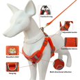 thumbnail image 3 of Arnés para perros Arnés para caminar ajustable Arnés para el pecho transpirable, suave y acolchado reflectante para perros pequeños, medianos, gatos y mascotas—BR-Life (M, rojo) esquí esquí Gafas de esquí, 3 of 5