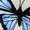 Blue, variant on IMENGL Women's Pajamas Set Loungewear with Butterfly Print Strappy and Short Pants Onesises Sleepwear Pajama Sets for Women,Blue