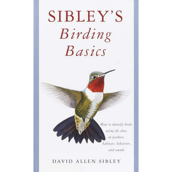 Sibley Guides Sibley's Birding Basics, (Paperback)