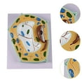 thumbnail image 6 of Kokiya Cell Model Experimental Classroom Learning Study Biology Science Kit Plant Cell Model, 6 of 9