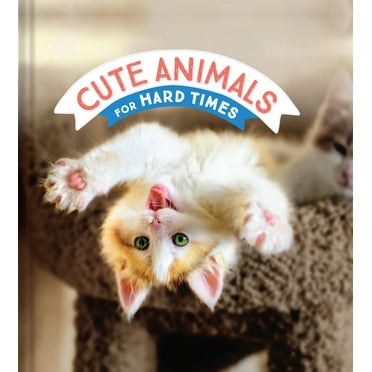 Cute Animals for Hard Times (Hardcover)