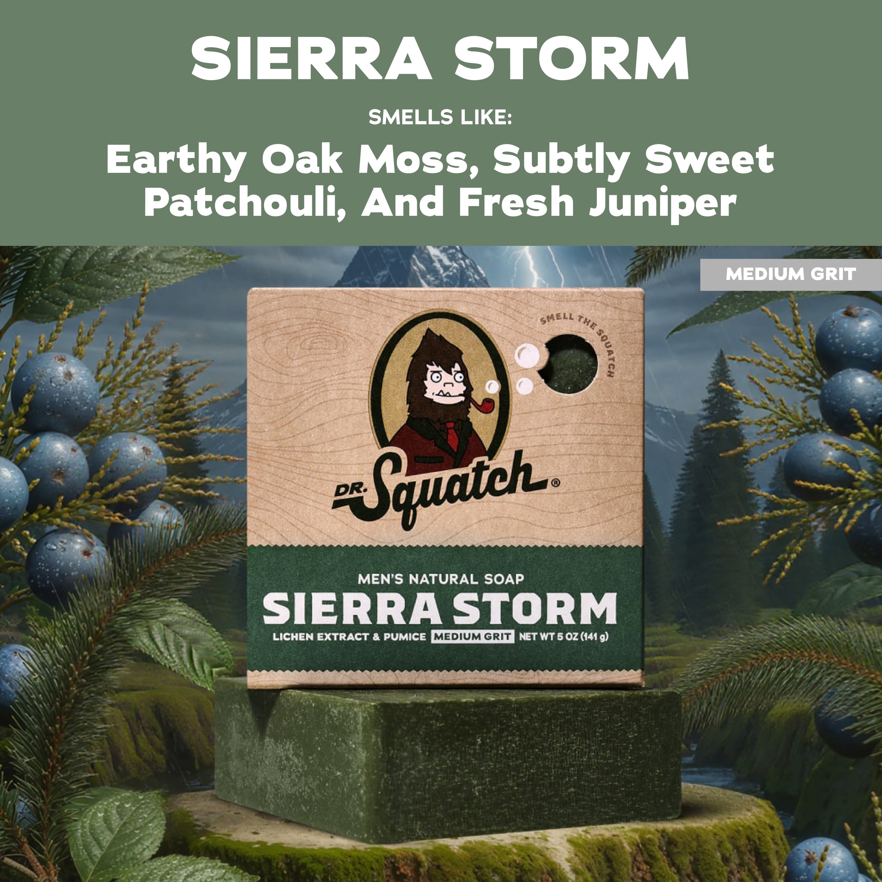 (2 pack) Dr. Squatch Men's Bar Soap, Natural Bar Soap for Men, Sierra Storm, 5 oz