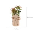 thumbnail image 4 of Artificial Succulent Plant Landscape Decoration Ornament Vivid Potted Plant, 4 of 8