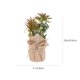 thumbnail image 5 of Planta suculenta artificial, decoración paisajística, adorno, planta en maceta vívida, 5 of 5