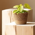thumbnail image 7 of 6.10 Inch Woven Seagrass Plant Basket, Decorative Flower Pot for Indoor Plant Pots, Seagrass Woven Planter Sleeve, Rustic Home Decor, 7 of 7
