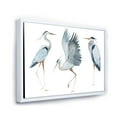 thumbnail image 3 of Designart 'Portrait Of Heron Birds II' Traditional Framed Canvas Wall Art Print, 3 of 5