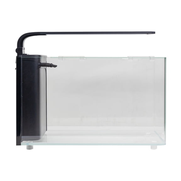 JBJ Rimless Desktop Curved Glass Aquarium Kit, 6 Gallon