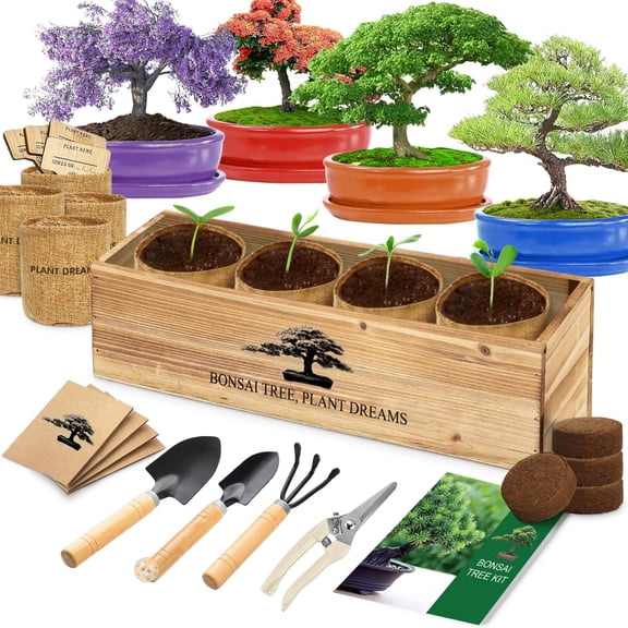 Bonsai Tree Kit, Bonsai Starter Kit with Seeds & Tools, Tree Live Plants Indoor, Gardening Gifts for Women Men Mom Father Plant Lover, Birthday Thanksgiving