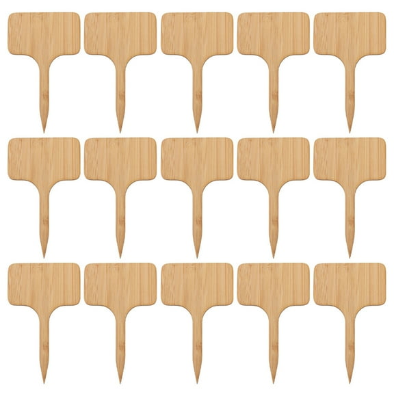 30 Pcs Bamboo Label Insert Succulent Planters Labels Tags Seedling Category for Identify