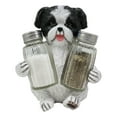thumbnail image 4 of Ebros Hugging Pooch Shih Tzu Glass Salt Pepper Shakers Holder Figurine 6"Tall, 4 of 10