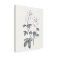 thumbnail image 2 of Wild Apple Portfolio 'Neutral Botanical III' Canvas Art, 2 of 3