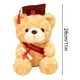 thumbnail image 5 of Oso de peluche de graduación, regalo conmemorativo, oso de peluche, tela suave, temporada de graduación, regalo para graduados, celebrar la graduación, regalo único de graduación, ositos,, 5 of 9