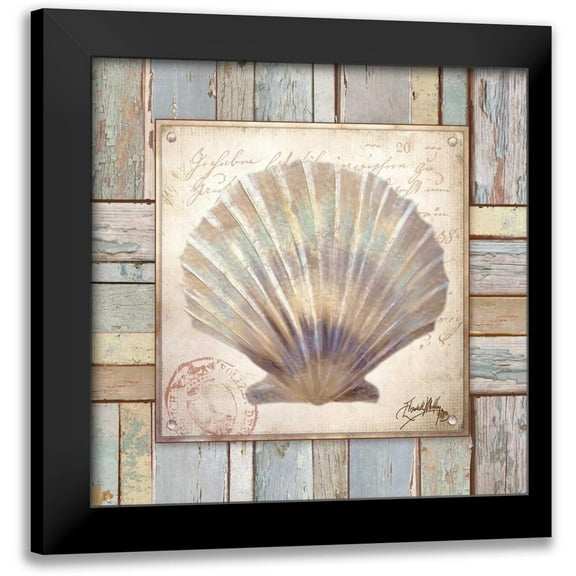 Medley, Elizabeth 12x12 Black Modern Framed Museum Art Print Titled - Beach Shell I