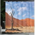 thumbnail image 4 of Ambesonne African Shower Curtain, Lonely Tree in Desert, 69"Wx84"L, Brown Blue, 4 of 5