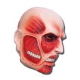 thumbnail image 1 of Cosplay - Masque - Attack on Titan - Nouvel Anime Titanesque sous Licence ge23013, 1 of 1
