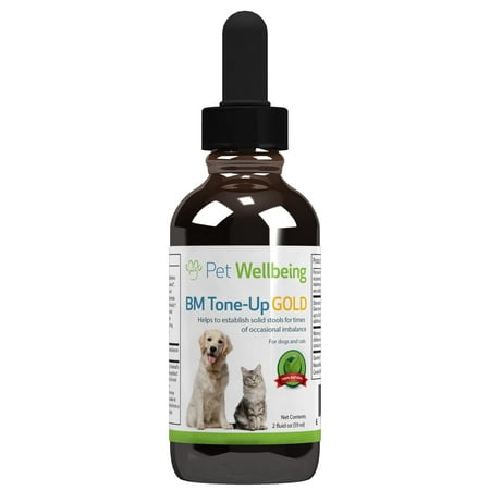 Cat Diarrhea Home Treatment - BM Tone-Up Gold for Cats - by Pet (Best Way To Clean Dog Diarrhea From Carpet)