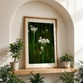 thumbnail image 5 of onion flowers on green stems - Carmel Valley California Photography Flowers Floral Botanical Nature Garden Scenic Minimalist Unframed Wall Art Print 20 x 30 inches, 5 of 60