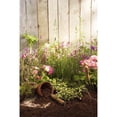 thumbnail image 2 of Flexrake CLA326 Classic Transplanting Trowel, 2 of 2