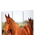 thumbnail image 3 of Benjara 3 Panel Foldable Wooden Screen with Horse Print, Brown, 3 of 3