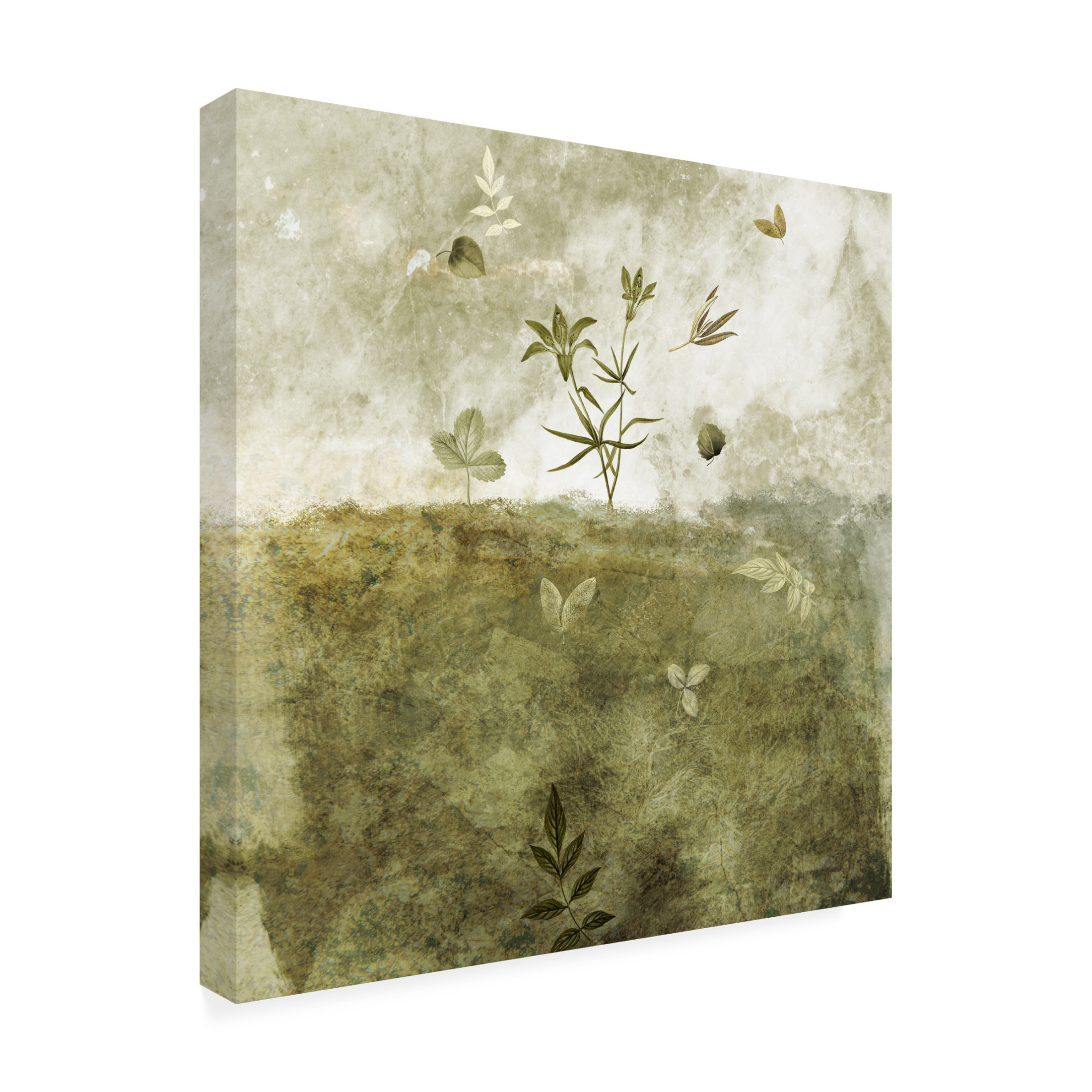 Trademark Fine Art Emel Tunaboylu  Olive Canvas Wall Art