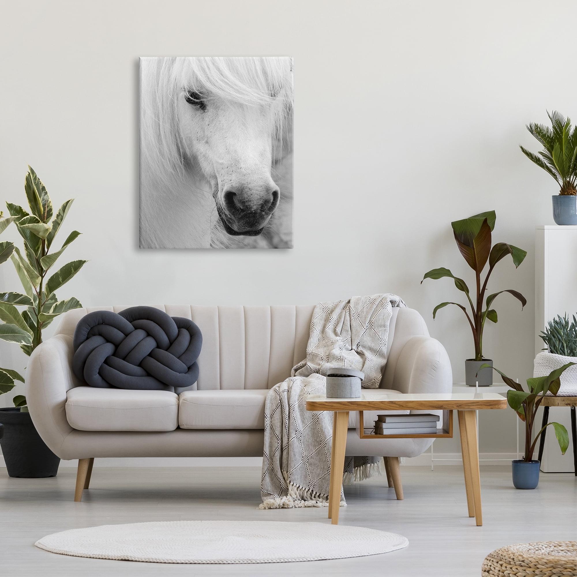 Stupell Industries White Horse Close Up Animals & Insects Photography Gallery Wrapped Canvas Art Print Wall Art, 30 x 40