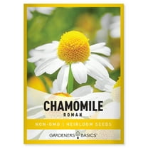 Roman Chamomile Seeds
