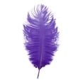 thumbnail image 2 of YardChic Colorful Ostrich Feathers, Feathers for Crafting, Fluffy Decorative Plumes for Wedding Flower Arrangement, Stage Backdrop, Clothing Costume DIY, Home Party Art Decor, Dream Catcher Supplies, 2 of 2