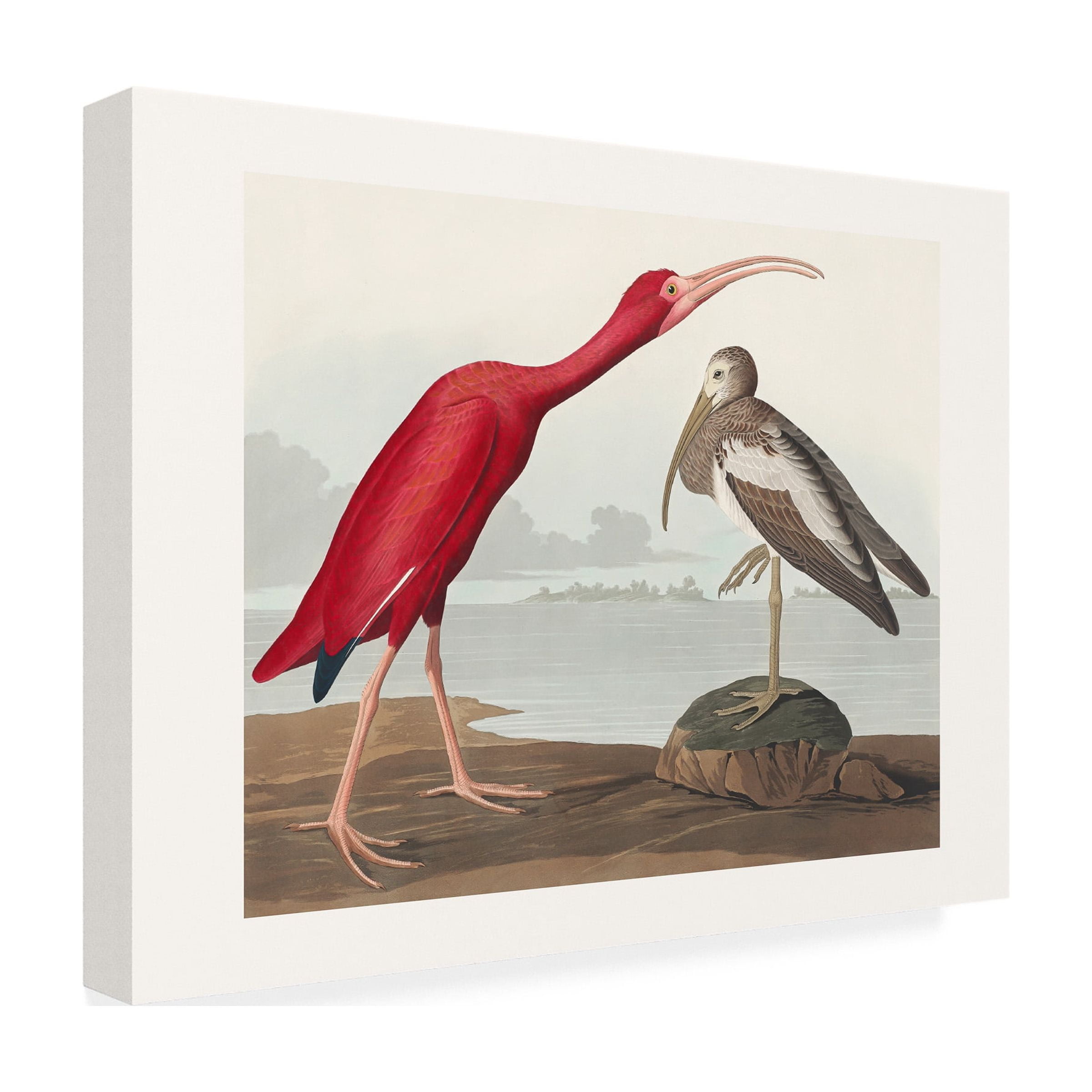 Pictufy 'Scarlet Ibis From Birds of America 1827' Canvas Art