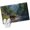 Green, variant on Entryway Rug 2'x3', Forests Bears Small Rug for Kitchen Bathroom Door Mat Indoor Entrance, Modern Art Mountain Animals Watercolor Non-Slip Area Rugs Floor Mats Carpet Front Door Rugs