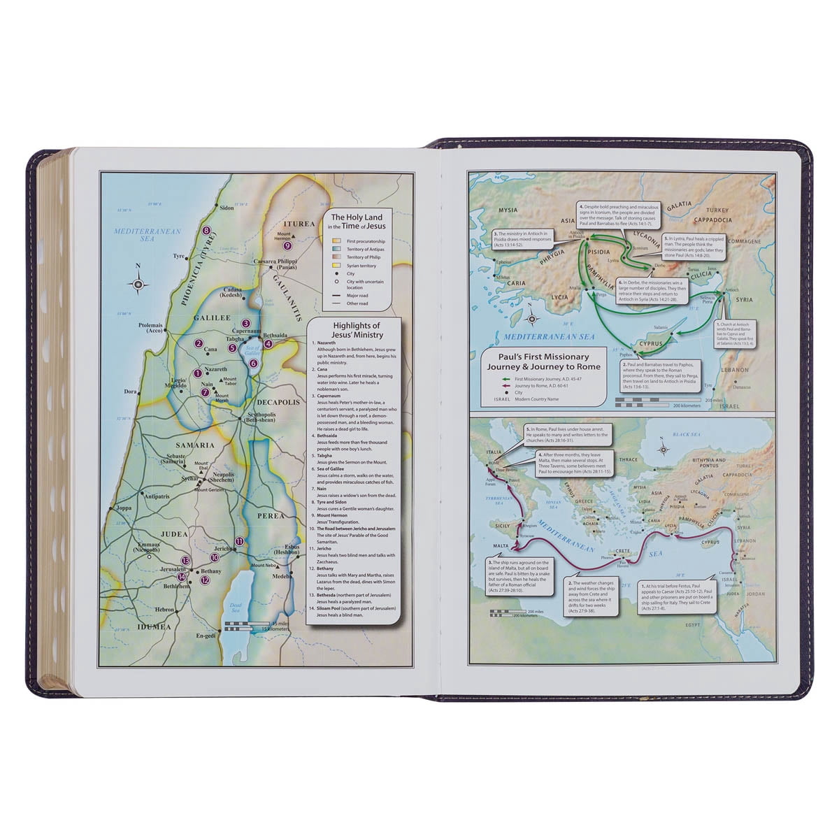 KJV Study Bible, Large Print King James Version Holy Bible, Thumb Tabs, Ribbons, Faux Leather Purple Two-Tone Debossed (Hardcover)