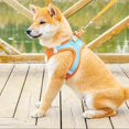 thumbnail image 4 of Pet Dog Cat Harness Puppy Kitten Adjustable Reflective Breathable Vest, 4 of 5