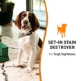 thumbnail image 3 of Tinte oxigenado para perros Stain Destroyer Nature's Miracle, 3 of 9