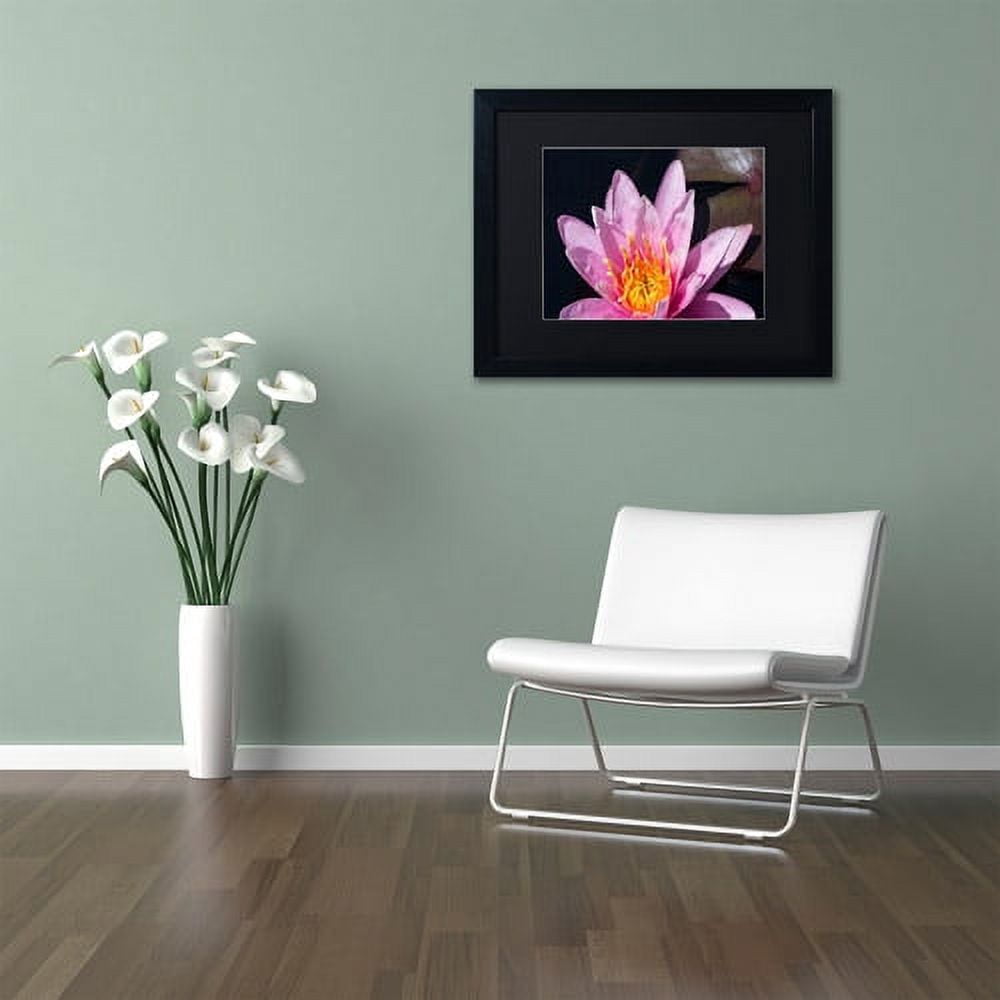 Trademark Fine Art "Pink Lotus" Canvas Art by Kurt Shaffer Black Matte, Black Frame