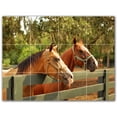 thumbnail image 1 of Picture-Tiles.com: Horse Ceramic Tile Wall Mural WAL500753-43S. 17"W x 12.75"H using (12) 4.25" x 4.25" Ceramic Tiles-Satin Finish, 1 of 3