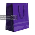 thumbnail image 5 of JAM Gift Bag Assortment, 2 Purple Bags & Black Tissue Paper, 3/Pack, 5 of 5