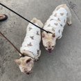 thumbnail image 5 of Ropa para mascotas primavera y otoño e invierno ropa para gatos, gatos, ropa para perros, peleas, chaleco para perros, pijamas, casa 20cm Sincero Electrónica, 5 of 5