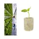 thumbnail image 1 of 20*27 (50个) Rockwool Cube Rockwool Plugs Propagación Bloque hidropónico Cilíndrico Vegetal Plántulas Invernaderos Sistema de cultivo Accesorios de jardín 50PCS TUNC Sencillez, 1 of 5