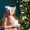 28x40cm, variant on 28x40cm Christmas Hat, Soft Cloth Festive Santa Hat, Universal Holiday Decoration Accessory, Comfortable Classic Plaid Xmas Hat For Adult Wear, Home Party And Festival Gift Use