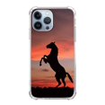 thumbnail image 1 of Black Horse Case for iPhone 13 Pro Max,Aesthetic Art Design TPU Bumper Cover Case, 1 of 6