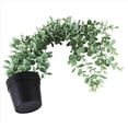 thumbnail image 2 of 1 Pieza Planta Colgante Artificial de Eucalipto en Maceta Falsa para Pared, HabitacióN, Hogar, Patio, DecoracióN Interior y Exterior, 2 of 5
